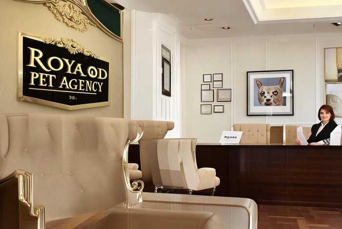 皇家宠物食品代理、皇家宠物食品代理公司