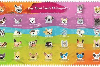 宠物狗网站大全，宠物狗网站大全下载