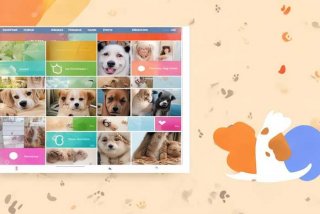 宠物吧下载；宠物app下载