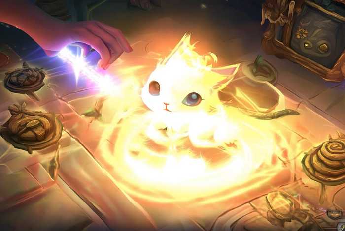 问道端游宠物怎么强化（问道端游宠物怎么强化属性）