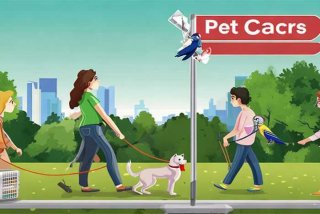 宠物饲养法律法规 - 宠物饲养国家法律规定