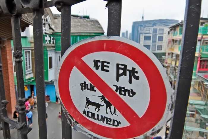 知乎 青岛一小区全面禁养宠物；青岛一小区全面禁养宠物 视频