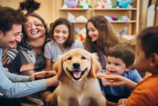 领养宠物狗（领养宠物狗需要注意什么）