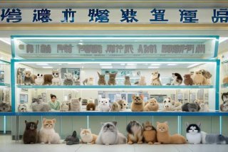 北京宠物寄养医院，北京宠物寄养医院排名