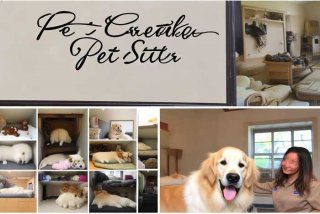 宠物托管师 - 宠物托管师英文