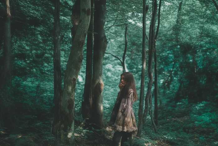 青岛一小区禁止全体业主饲养宠物-发现或将强行带离，青岛一小区物业回应禁养宠物