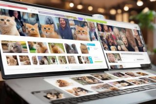 活体宠物交易平台 - 活体宠物交易平台官网