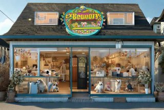 宠物美容店地址，宠物美容店地址查询