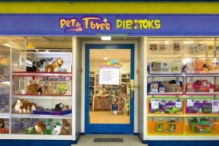 宠物连锁店一览表（宠物连锁店哪家好一点）