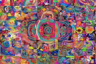 qq宠物图片 - qq宠物图片大全