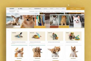 宠物商城小程序，宠物商城小程序主页和子页