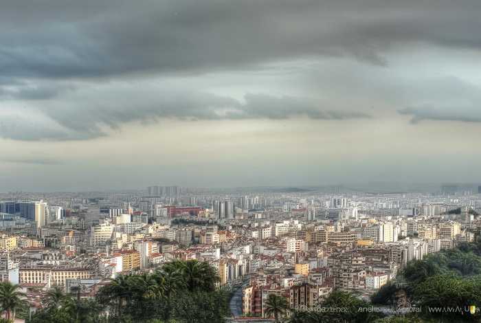 我的宠物少将军正版免费在线观看（我的宠物少将军在线观看免费西瓜）