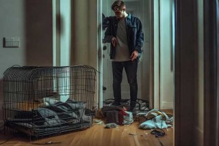 门内宠物遭盗窃怎么办 - 门内宠物遭盗窃怎么办呢