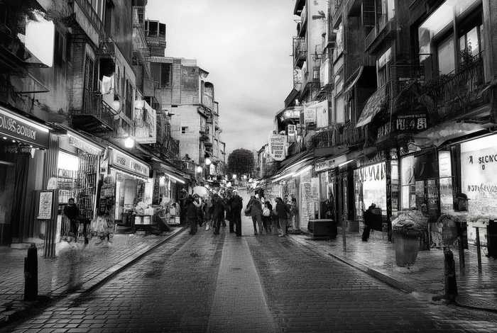 成都宠物市场价格表，成都宠物市场价格表最新