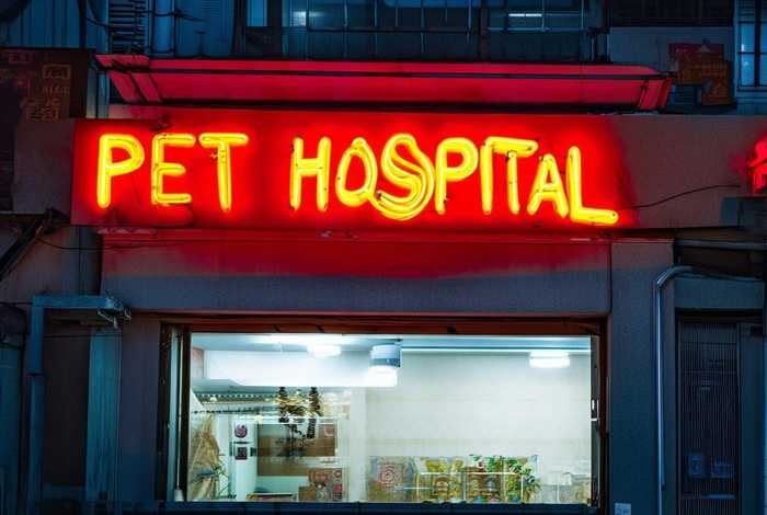 西安宠物医院24小时营业、西安宠物医院24小时营业在西安市第五医院对面