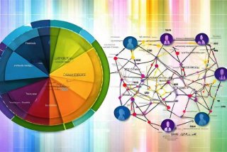 大学生人际关系饼状图 大学生人际关系网络图