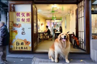 宠物餐厅上海 宠物餐厅上海有几家