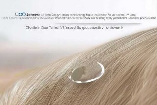 宠物体外驱虫原理 - 宠物体外驱虫药原理宠物体外驱虫原理贝卫多