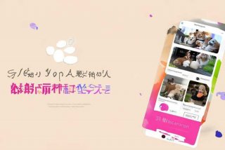 宠物吧百科 宠物百科app下载