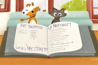 宠物保险有必要买吗 宠物保险有必要买吗知乎