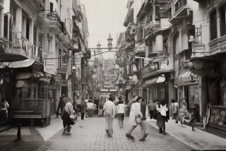 宠物狗市场在哪里、宜昌宠物狗市场在哪里