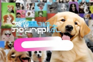 宠物派app官方下载（宠物帮app免费下载）