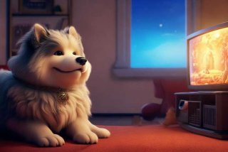 我的宠物少将军免费观看策驰影院，我的宠物少将军免费观看策驰影视