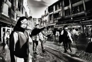 石家庄宠物市场直播卖狗，石家庄宠物市场直播卖狗的地方