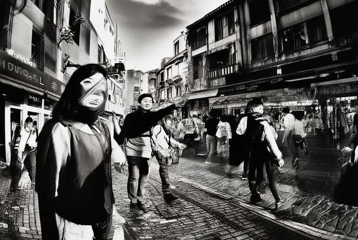 石家庄宠物市场直播卖狗，石家庄宠物市场直播卖狗的地方