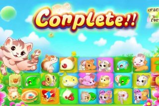 宠物连连看可爱版通关技巧；宠物连连看可爱版总共多少关