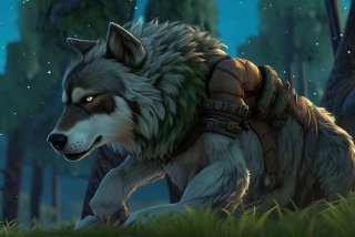 魔兽世界猎人宠物怎么设置；魔兽世界猎人宠物怎么设置防御型还是被动型