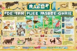 宠物的基础知识大全（宠物的基础知识大全图片）