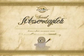 宠物美容师证书样本 - 宠物美容师证书样本图片