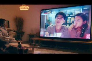 宠物情人日剧全集在线观看高清；宠物情人日剧全集在线观看高清版