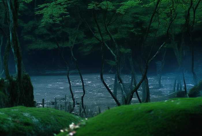 洛克王国宠物图鉴查询官网（洛克王国宠物图鉴查询官网入口）