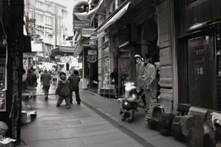 中通快递动物盲盒 苏州中通快递动物盲盒