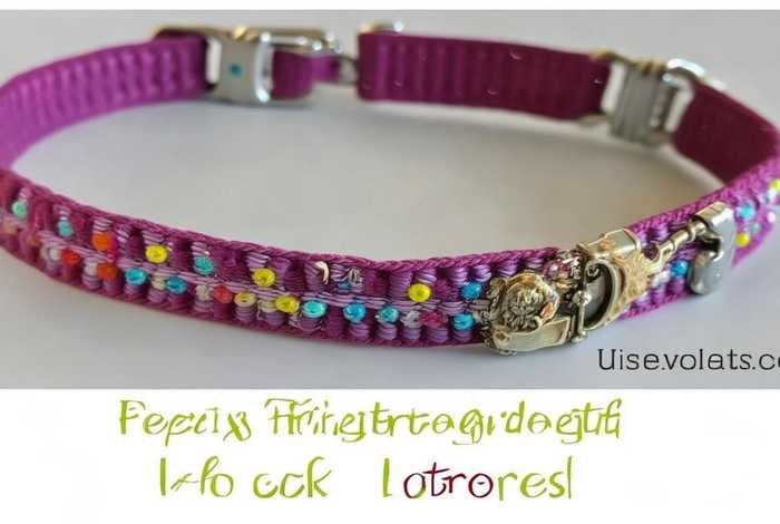 宠物项圈教程简单 - 宠物项圈教程简单又漂亮