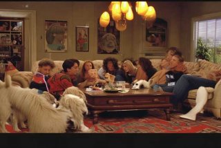 宠物老友记第五季 - 宠物老友记第五季免费观看