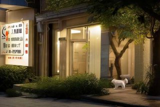 济南宠物医院24小时营业是哪家 - 济南宠物医院24小时营业是哪家医院