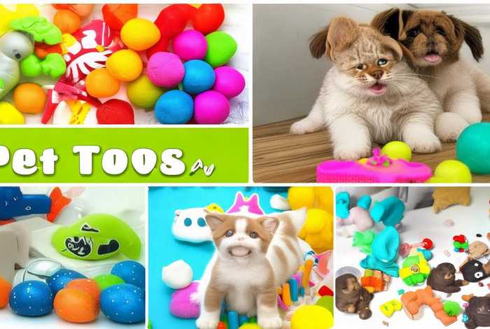 宠物玩具有哪些（宠物玩具都有哪些）