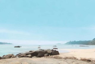 南宁宠物医院哪家好 南宁宠物医院哪家好一点