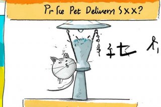 申通快递寄宠物猫多少钱 申通快递寄宠物猫多少钱啊