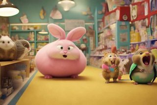 宠物店的小秘密爆笑视频，宠物店的小秘密爆笑视频大全