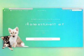 宠物训导师报名入口官网，宠物训导师报名入口官网网址