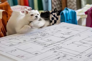 宠物服装打版教学（宠物服装打版公式图解）