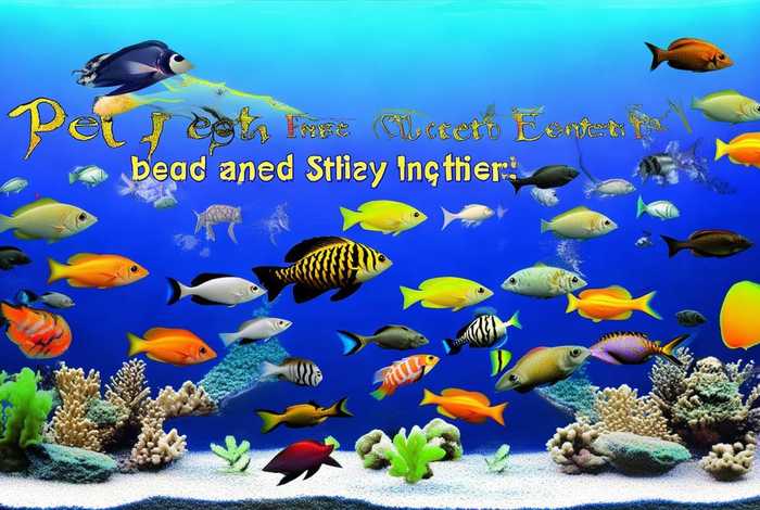 宠物鱼品种大全 - 宠物鱼品种大全和寓意