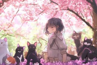 樱花庄的宠物女孩小说轻小说文库 樱花庄的宠物女孩小说轻小说文库下载