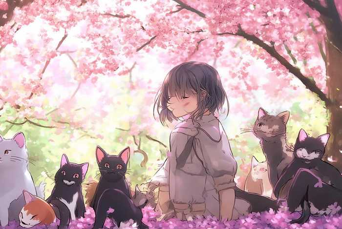 樱花庄的宠物女孩小说轻小说文库 樱花庄的宠物女孩小说轻小说文库下载