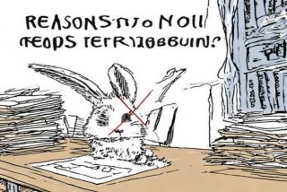 兔子为什么不建议养、兔子为什么不建议养呢