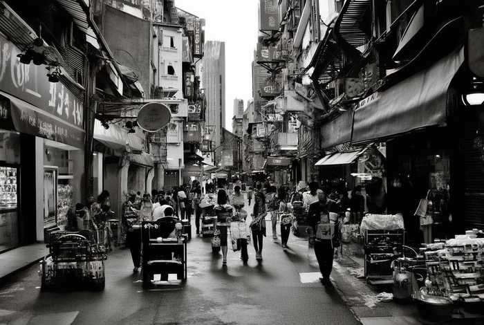 石家庄宠物市场约克夏狗（石家庄宠物市场约克夏狗价格）